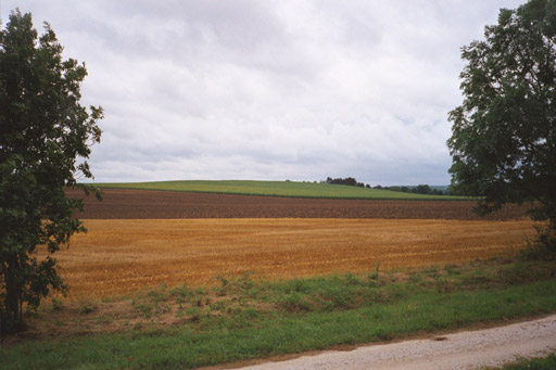 Fields along side the canal